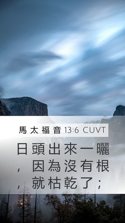 馬 太 福 音 13:6 CUVT Mobile Phone Wallpaper - 日 頭 出 來 一 曬 ， 因 為 沒 有 根 - Mobile Bible Verse Wallpaper
