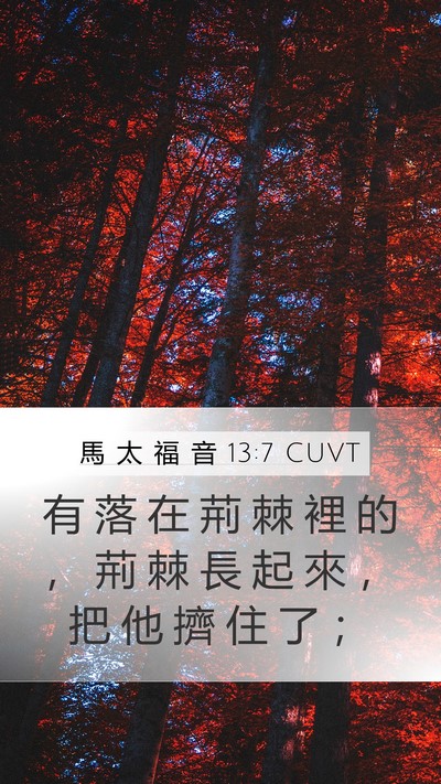 馬 太 福 音 13:7 CUVT Bible Verse Image