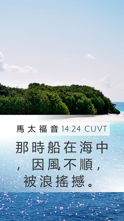 馬 太 福 音 14:24 CUVT Bible Verse Image
