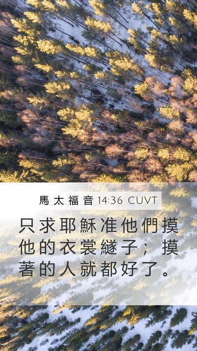 馬 太 福 音 14:36 CUVT Bible Verse Image