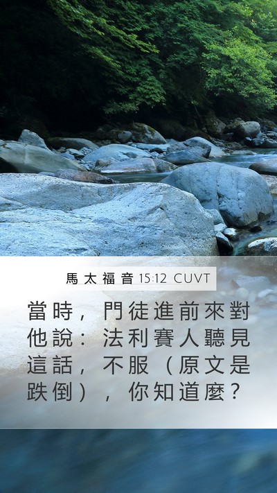 馬 太 福 音 15:12 CUVT Mobile Phone Wallpaper - 當 時 ， 門 徒 進 前 來 對 他 說 ： - Mobile Bible Verse Wallpaper
