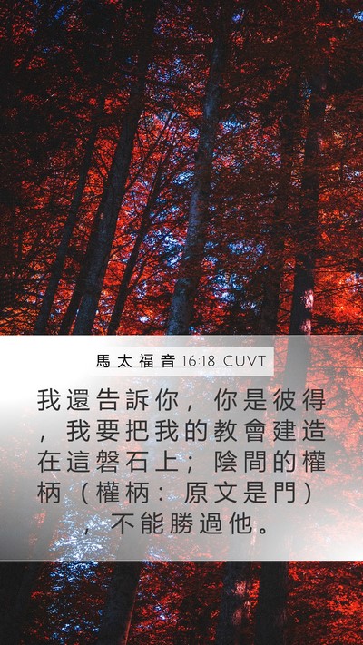 馬 太 福 音 16:18 CUVT Bible Verse Image
