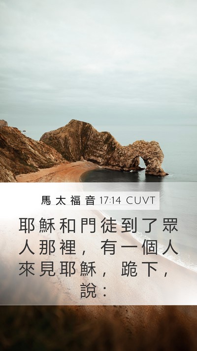 馬 太 福 音 17:14 CUVT Bible Verse Image