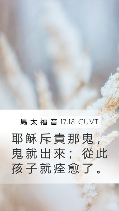 馬 太 福 音 17:18 CUVT Mobile Phone Wallpaper - 耶 穌 斥 責 那 鬼 ， 鬼 就 出 來 ； - Mobile Bible Verse Wallpaper