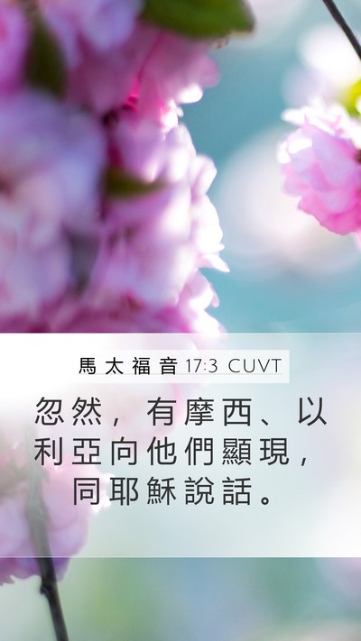 馬 太 福 音 17:3 CUVT Mobile Phone Wallpaper - 忽 然 ， 有 摩 西 、 以 利 亞 向 他 - Mobile Bible Verse Wallpaper