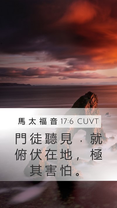 馬 太 福 音 17:6 CUVT Mobile Phone Wallpaper - 門 徒 聽 見 ﹐ 就 俯 伏 在 地 ， 極 - Mobile Bible Verse Wallpaper