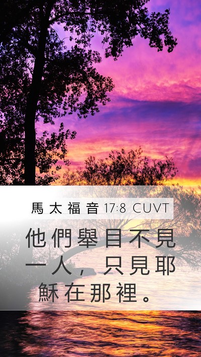 馬 太 福 音 17:8 CUVT Mobile Phone Wallpaper - 他 們 舉 目 不 見 一 人 ， 只 見 耶 - Mobile Bible Verse Wallpaper