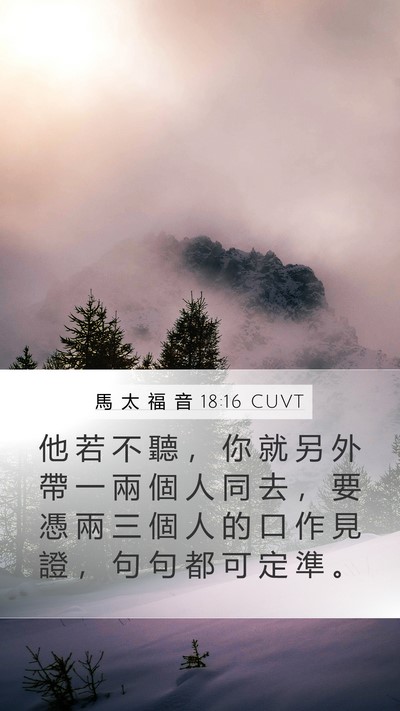 馬 太 福 音 18:16 CUVT Bible Verse Image