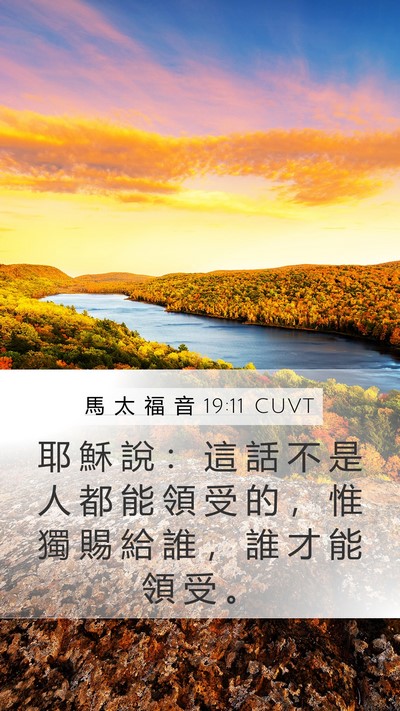 馬 太 福 音 19:11 CUVT Mobile Phone Wallpaper - 耶 穌 說 ： 這 話 不 是 人 都 能 領 - Mobile Bible Verse Wallpaper