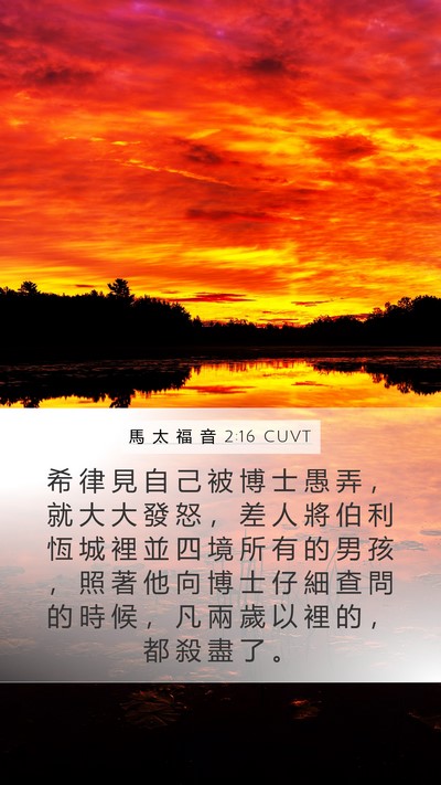 馬 太 福 音 2:16 CUVT Bible Verse Image