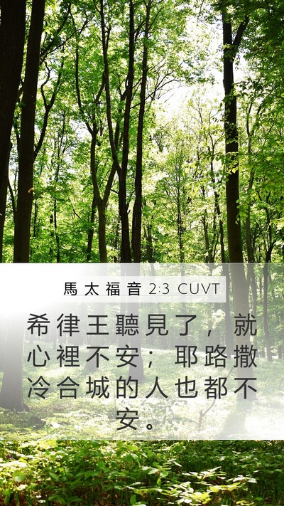 馬 太 福 音 2:3 CUVT Bible Verse Image
