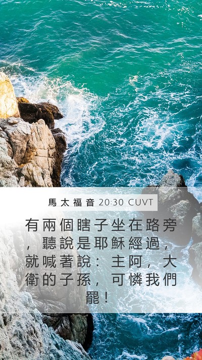 馬 太 福 音 20:30 CUVT Bible Verse Image