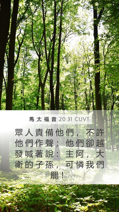 馬 太 福 音 20:31 CUVT Bible Verse Image