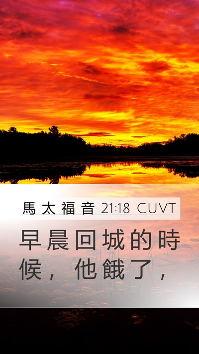馬 太 福 音 21:18 CUVT Bible Verse Image