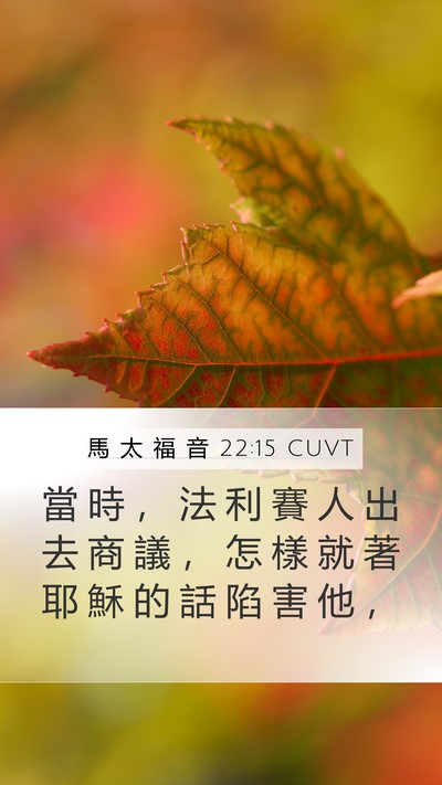 馬 太 福 音 22:15 CUVT Mobile Phone Wallpaper - 當 時 ， 法 利 賽 人 出 去 商 議 ， - Mobile Bible Verse Wallpaper