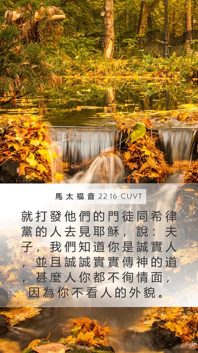 馬 太 福 音 22:16 CUVT Bible Verse Image