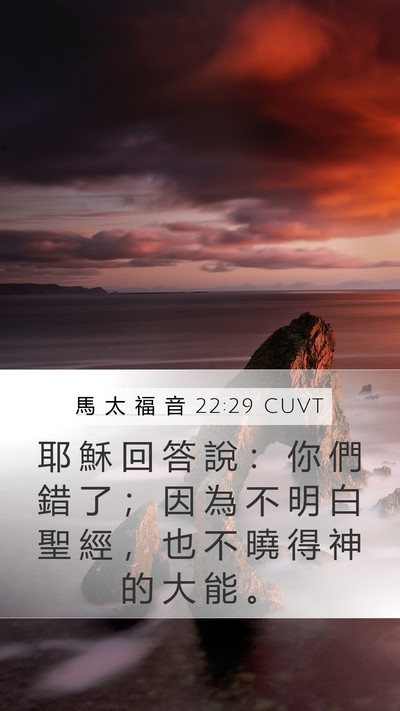馬 太 福 音 22:29 CUVT Bible Verse Image