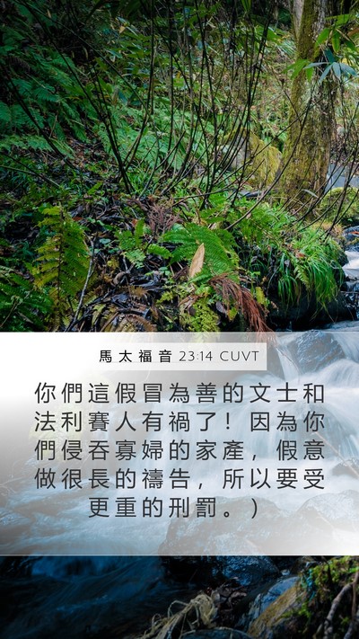 馬 太 福 音 23:14 CUVT Mobile Phone Wallpaper - 你 們 這 假 冒 為 善 的 文 士 和 法 - Mobile Bible Verse Wallpaper