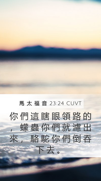 馬 太 福 音 23:24 CUVT Bible Verse Image