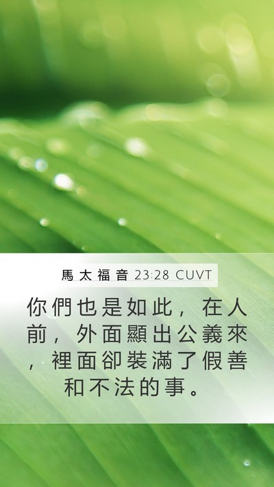 馬 太 福 音 23:28 CUVT Bible Verse Image