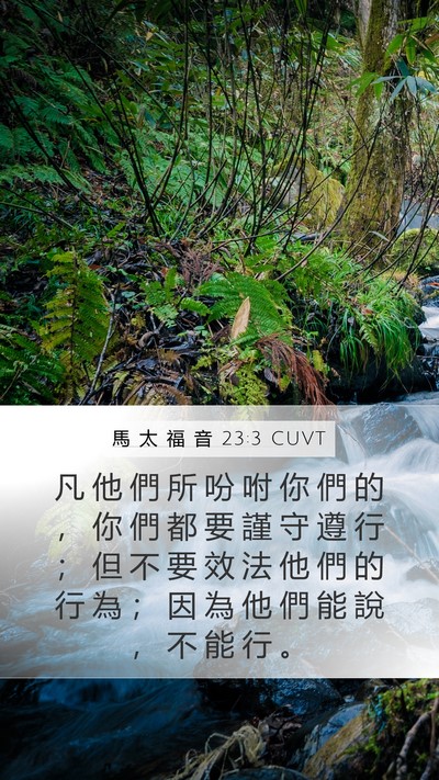 馬 太 福 音 23:3 CUVT Bible Verse Image
