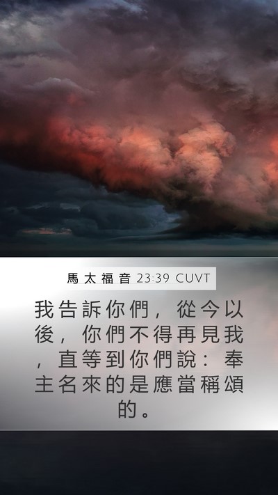 馬 太 福 音 23:39 CUVT Bible Verse Image