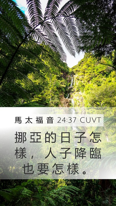 馬 太 福 音 24:37 CUVT Bible Verse Image