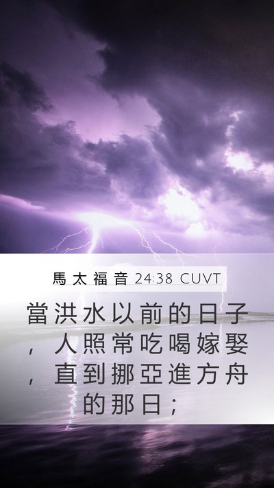 馬 太 福 音 24:38 CUVT Bible Verse Image