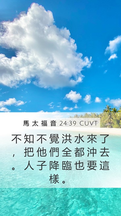 馬 太 福 音 24:39 CUVT Bible Verse Image
