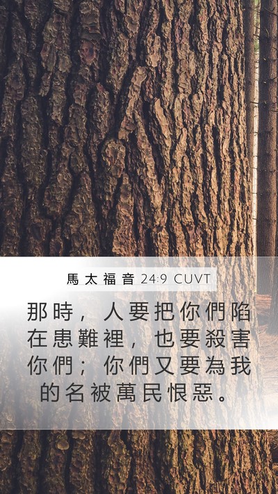 馬 太 福 音 24:9 CUVT Mobile Phone Wallpaper - 那 時 ， 人 要 把 你 們 陷 在 患 難 - Mobile Bible Verse Wallpaper