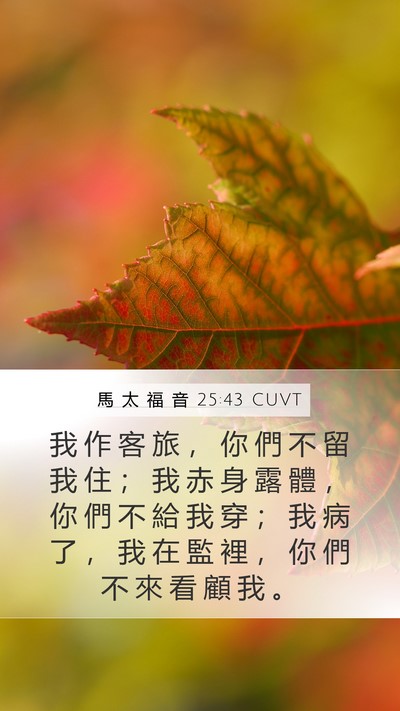馬 太 福 音 25:43 CUVT Bible Verse Image