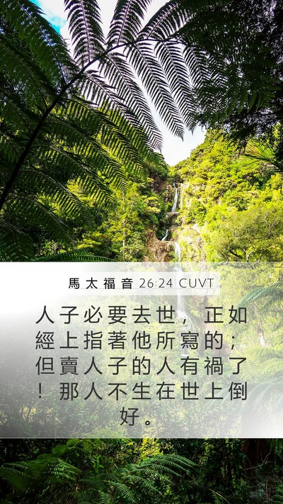馬 太 福 音 26:24 CUVT Bible Verse Image
