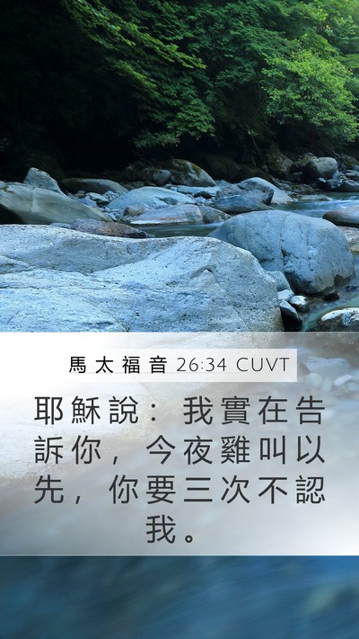 馬 太 福 音 26:34 CUVT Mobile Phone Wallpaper - 耶 穌 說 ： 我 實 在 告 訴 你 ， 今 - Mobile Bible Verse Wallpaper