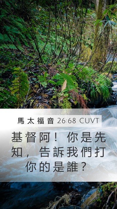 馬 太 福 音 26:68 CUVT Mobile Phone Wallpaper - 基 督 阿 ！ 你 是 先 知 ， 告 訴 我 - Mobile Bible Verse Wallpaper