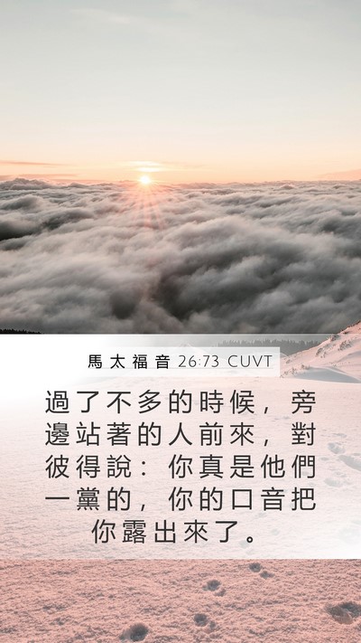 馬 太 福 音 26:73 CUVT Bible Verse Image