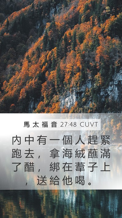 馬 太 福 音 27:48 CUVT Bible Verse Image