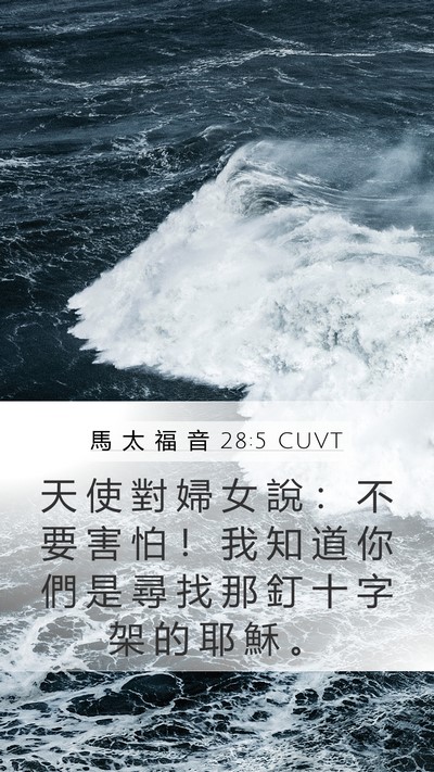 馬 太 福 音 28:5 CUVT Bible Verse Image