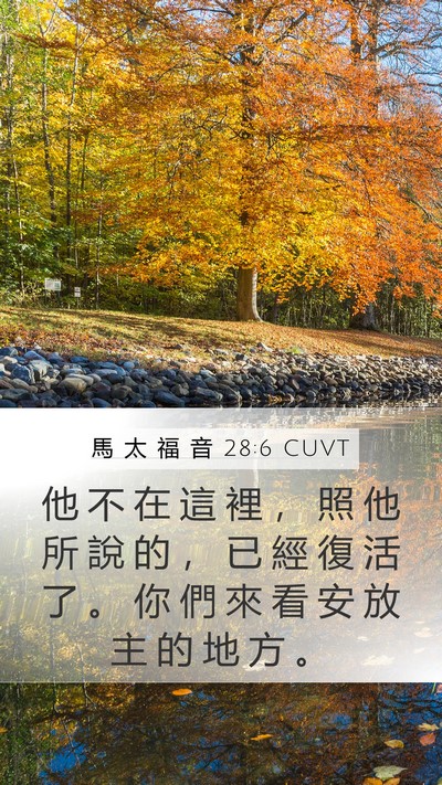 馬 太 福 音 28:6 CUVT Mobile Phone Wallpaper - 他 不 在 這 裡 ， 照 他 所 說 的 ， - Mobile Bible Verse Wallpaper