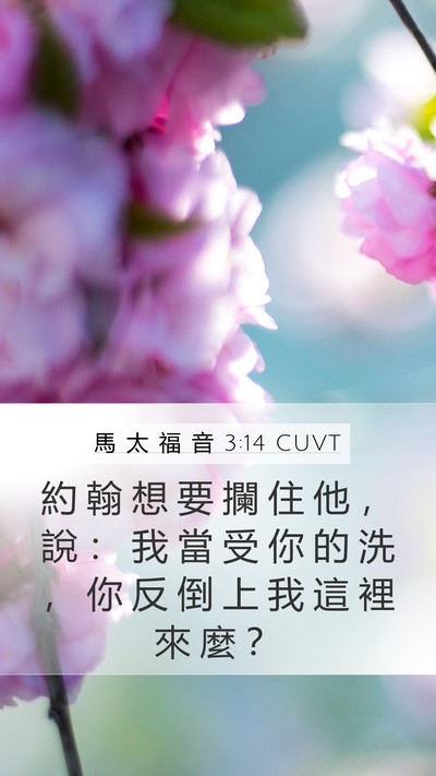 馬 太 福 音 3:14 CUVT Mobile Phone Wallpaper - 約 翰 想 要 攔 住 他 ， 說 ： 我 當 - Mobile Bible Verse Wallpaper