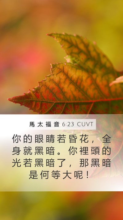 馬 太 福 音 6:23 CUVT Bible Verse Image