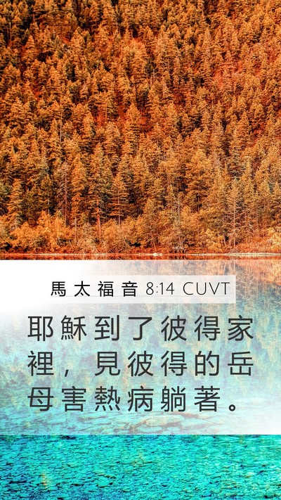 馬 太 福 音 8:14 CUVT Bible Verse Image