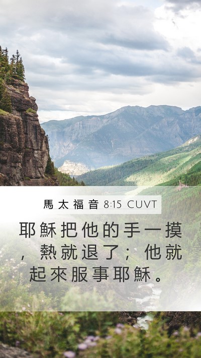 馬 太 福 音 8:15 CUVT Bible Verse Image