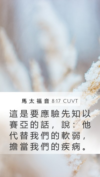 馬 太 福 音 8:17 CUVT Bible Verse Image