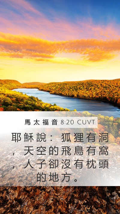 馬 太 福 音 8:20 CUVT Bible Verse Image