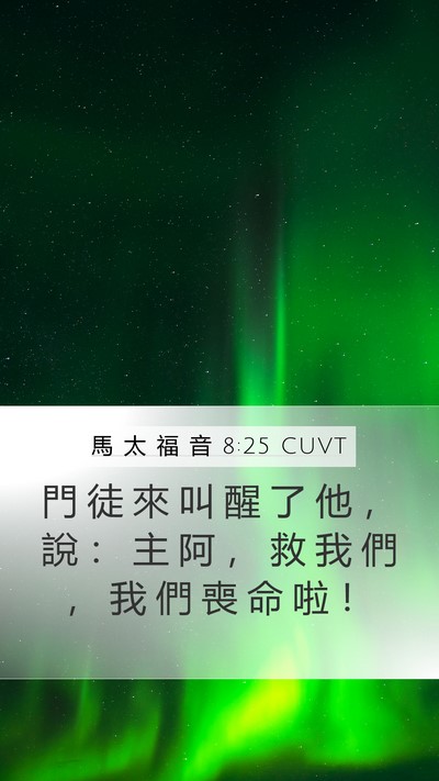 馬 太 福 音 8:25 CUVT Mobile Phone Wallpaper - 門 徒 來 叫 醒 了 他 ， 說 ： 主 阿 - Mobile Bible Verse Wallpaper
