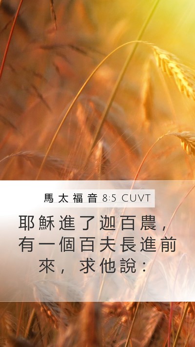 馬 太 福 音 8:5 CUVT Bible Verse Image
