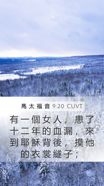 馬 太 福 音 9:20 CUVT Bible Verse Image